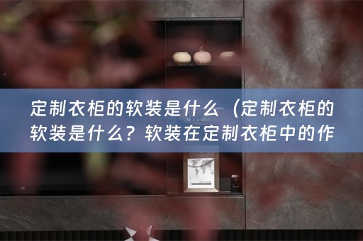 定制衣柜的在定制衣柜中的作用是什么？）