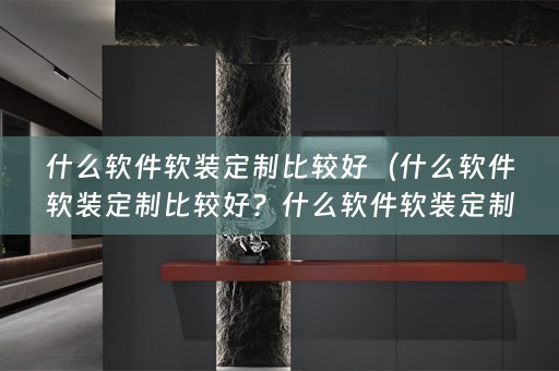 什么软件定制比较好用？）