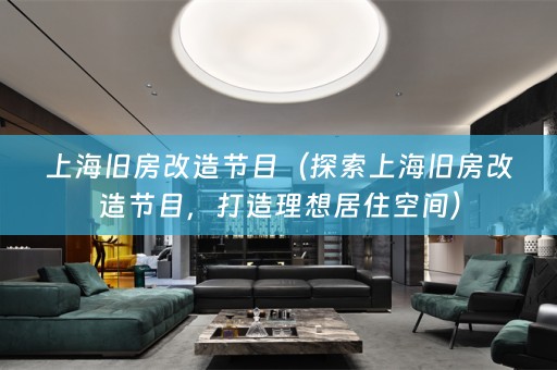 上海旧房改造节目（探索上海旧房改造节目，打造理想居住空间）