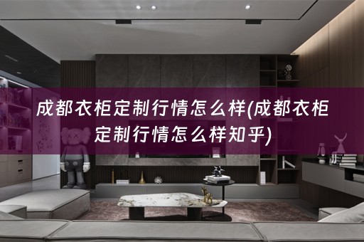 成都衣柜定制行情怎么样(成都衣柜定制行情怎么样知乎)