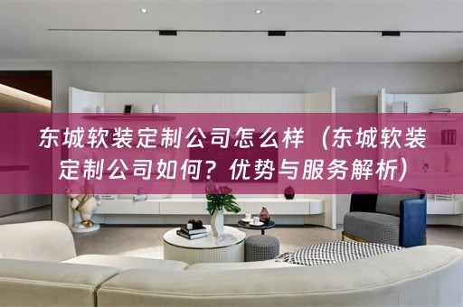 东城定制公司如何？优势与服务解析）