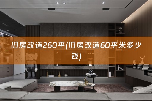 旧房改造260平(旧房改造60平米多少钱)