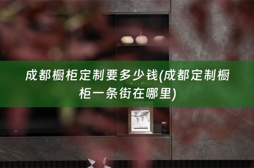 成都橱柜定制要多少钱(成都定制橱柜一条街在哪里)