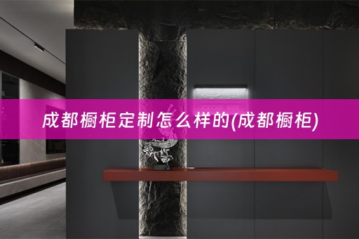 成都橱柜定制怎么样的(成都橱柜)