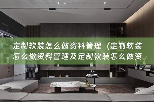 定制怎么做资料管理系统）
