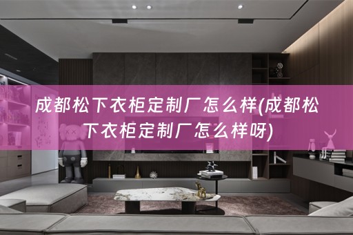 成都松下衣柜定制厂怎么样(成都松下衣柜定制厂怎么样呀)