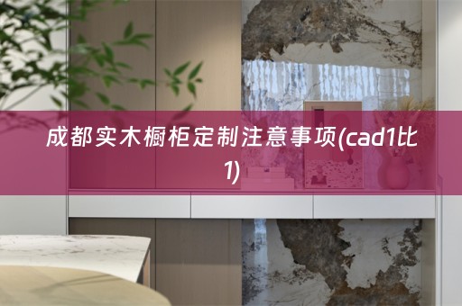 成都实木橱柜定制注意事项(cad1比1)
