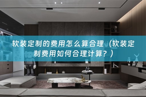 定制费用如何合理计算？）