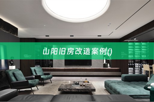 山阳旧房改造案例()