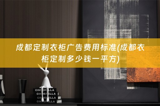 成都定制衣柜广告费用标准(成都衣柜定制多少钱一平方)