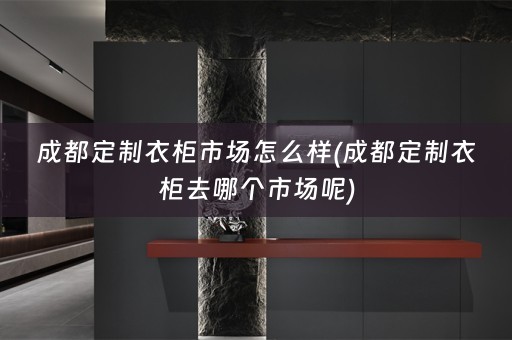 成都定制衣柜市场怎么样(成都定制衣柜去哪个市场呢)