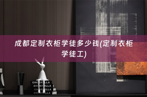 成都定制衣柜学徒多少钱(定制衣柜学徒工)