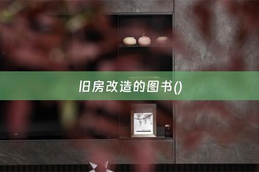 旧房改造的图书()