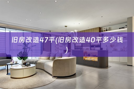 旧房改造47平(旧房改造40平多少钱)