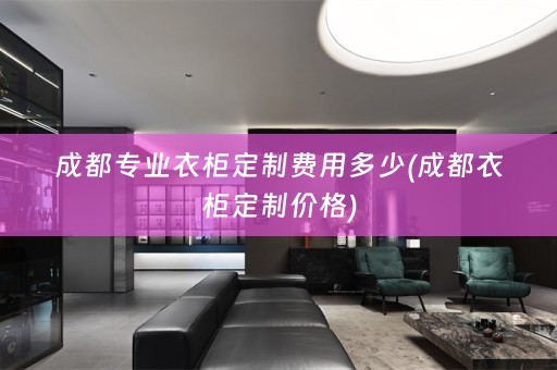 成都专业衣柜定制费用多少(成都衣柜定制价格)