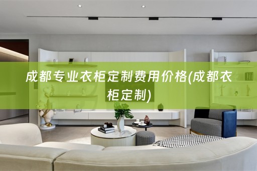成都专业衣柜定制费用价格(成都衣柜定制)
