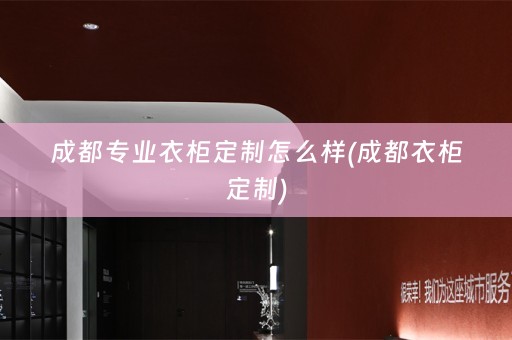 成都专业衣柜定制怎么样(成都衣柜定制)