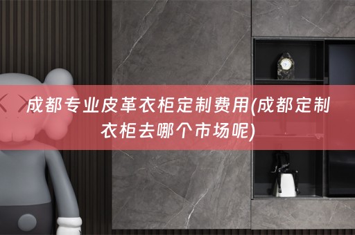 成都专业皮革衣柜定制费用(成都定制衣柜去哪个市场呢)