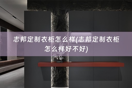 志邦定制衣柜怎么样(志邦定制衣柜怎么样好不好)