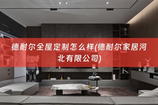 德耐尔怎么样(德耐尔家居河北有限公司)