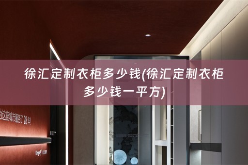 徐汇定制衣柜多少钱(徐汇定制衣柜多少钱一平方)