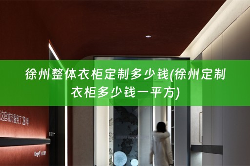 徐州整体衣柜定制多少钱(徐州定制衣柜多少钱一平方)