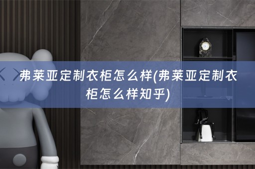 弗莱亚定制衣柜怎么样(弗莱亚定制衣柜怎么样知乎)