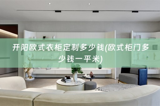 开阳欧式衣柜定制多少钱(欧式柜门多少钱一平米)