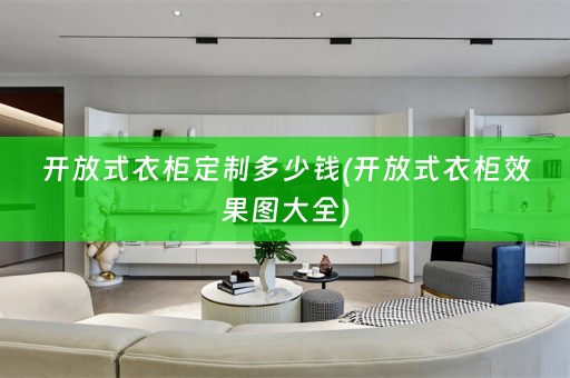 开放式衣柜定制多少钱(开放式衣柜效果图大全)
