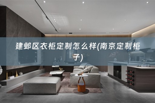 建邺区衣柜定制怎么样(南京定制柜子)