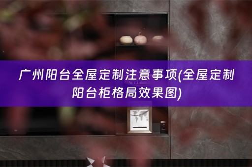广州阳台阳台柜格局效果图)