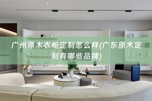 广州原木衣柜定制怎么样(广东原木定制有哪些品牌)