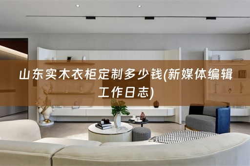 山东实木衣柜定制多少钱(新媒体编辑工作日志)