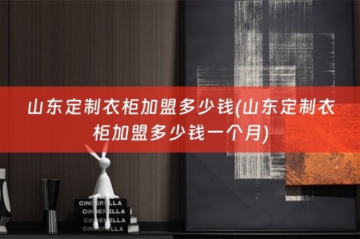 山东定制衣柜加盟多少钱(山东定制衣柜加盟多少钱一个月)