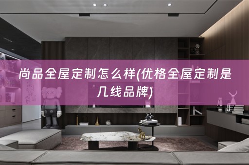 尚品是几线品牌)