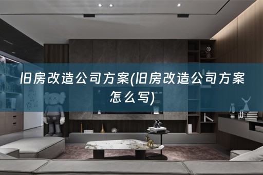 旧房改造公司方案(旧房改造公司方案怎么写)