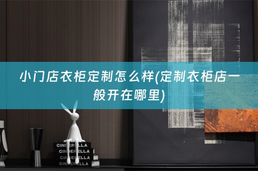 小门店衣柜定制怎么样(定制衣柜店一般开在哪里)