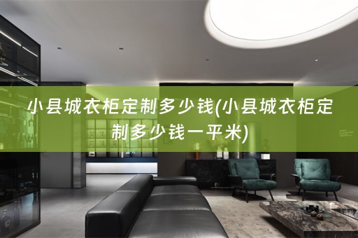 小县城衣柜定制多少钱(小县城衣柜定制多少钱一平米)