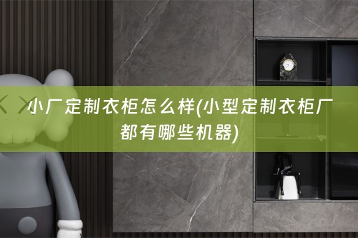 小厂定制衣柜怎么样(小型定制衣柜厂都有哪些机器)