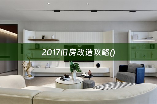 2017旧房改造攻略()