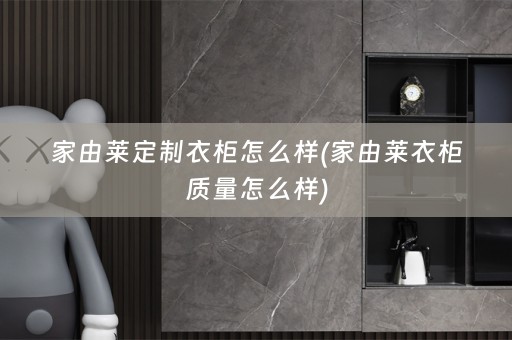 家由莱定制衣柜怎么样(家由莱衣柜质量怎么样)