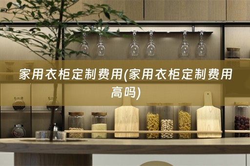 家用衣柜定制费用(家用衣柜定制费用高吗)