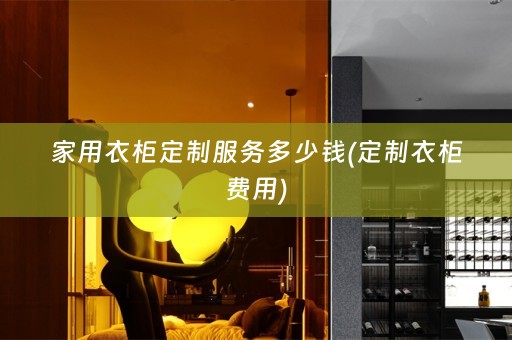 家用衣柜定制服务多少钱(定制衣柜费用)