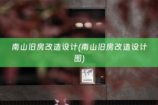 南山旧房改造设计(南山旧房改造设计图)