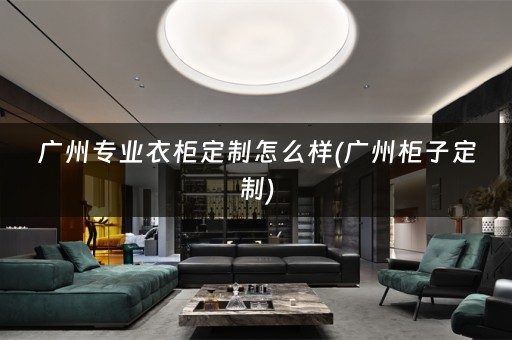 广州专业衣柜定制怎么样(广州柜子定制)