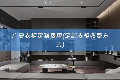 广安衣柜定制费用(定制衣柜收费方式)