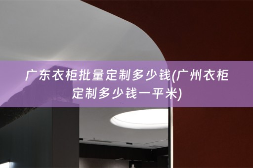 广东衣柜批量定制多少钱(广州衣柜定制多少钱一平米)