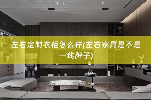 左右定制衣柜怎么样(左右家具是不是一线牌子)
