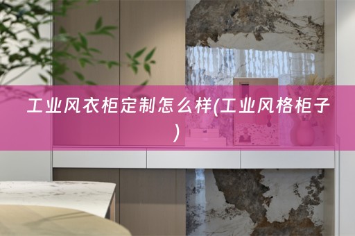 工业风衣柜定制怎么样(工业风格柜子)