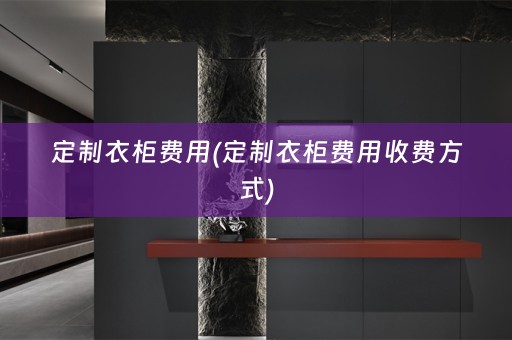 定制衣柜费用(定制衣柜费用收费方式)